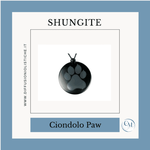 Pendente in Shungite - Paw